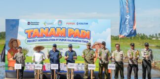 Dorong Produktivitas Padi, Pupuk Kaltim Gelar Tanam Padi Perdana Program Agrosolution di Kubu Raya