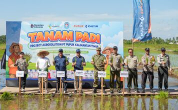 Dorong Produktivitas Padi, Pupuk Kaltim Gelar Tanam Padi Perdana Program Agrosolution di Kubu Raya
